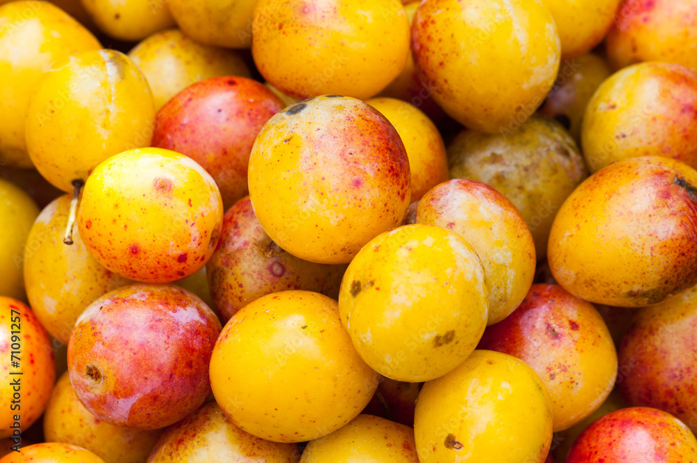 Mirabelles plums