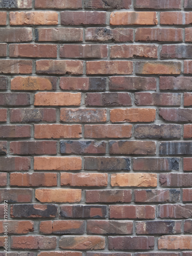 Obraz premium レンガの壁