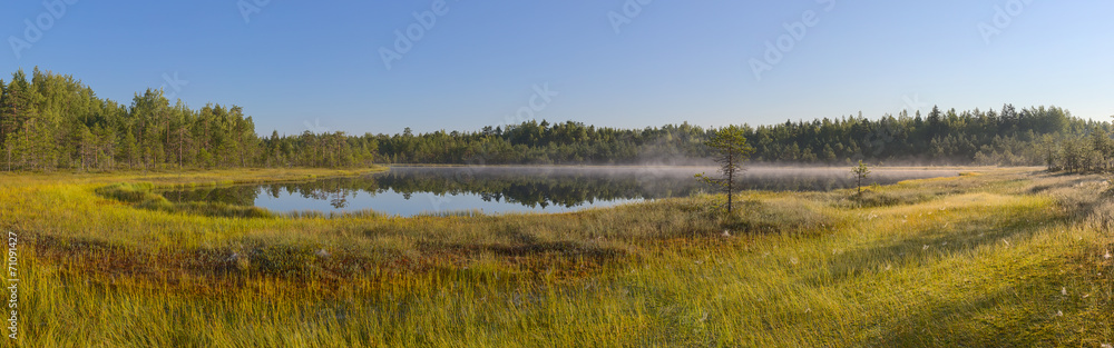 panorama of a forest lake and marsh panorama of a forest lake and marsh