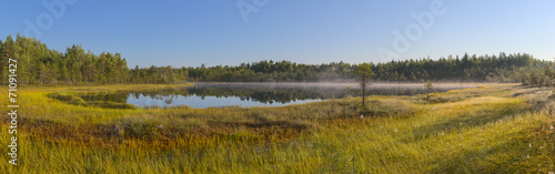panorama of a forest lake and marsh