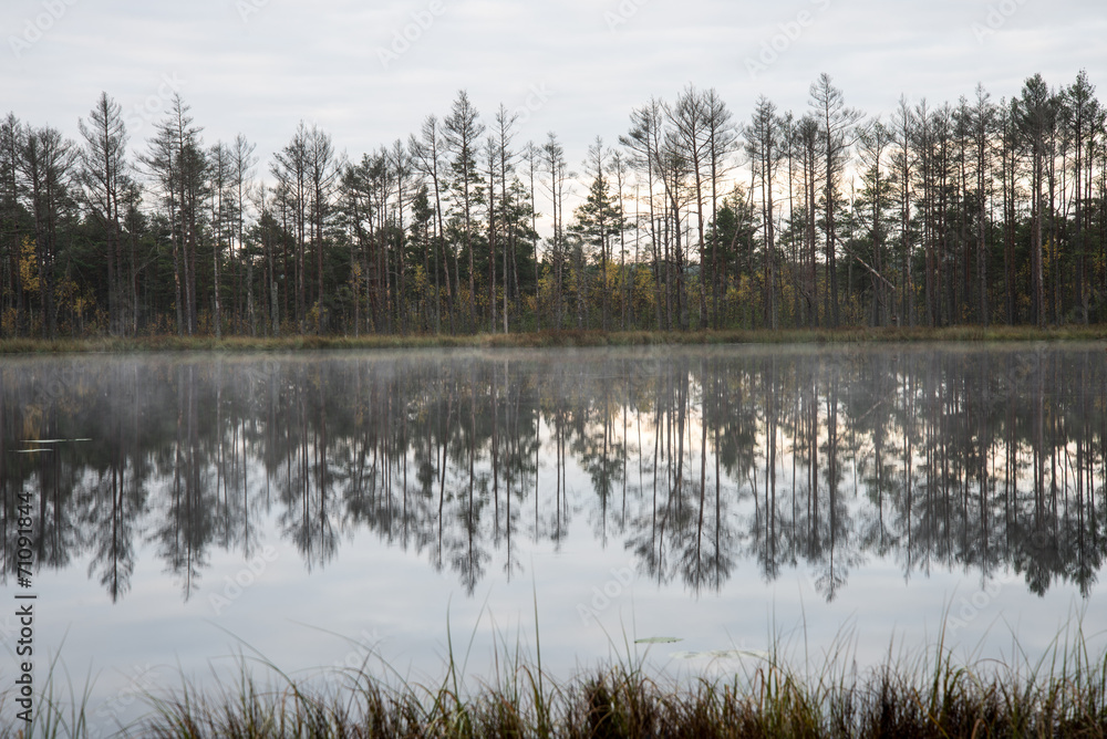 Fototapeta premium reflections in the lake water
