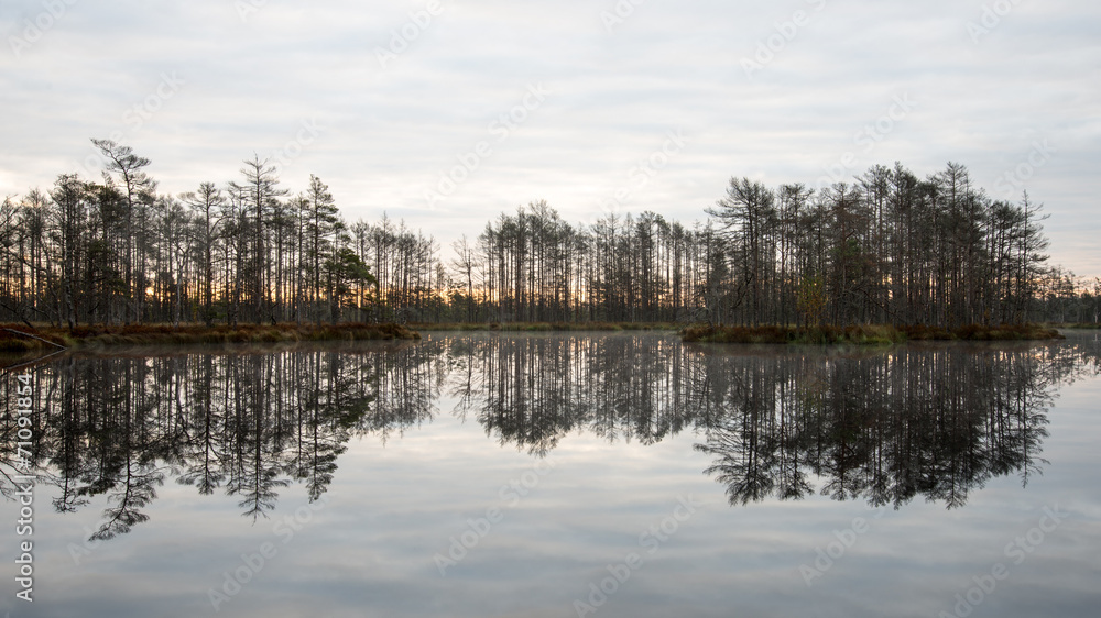 reflections in the lake water