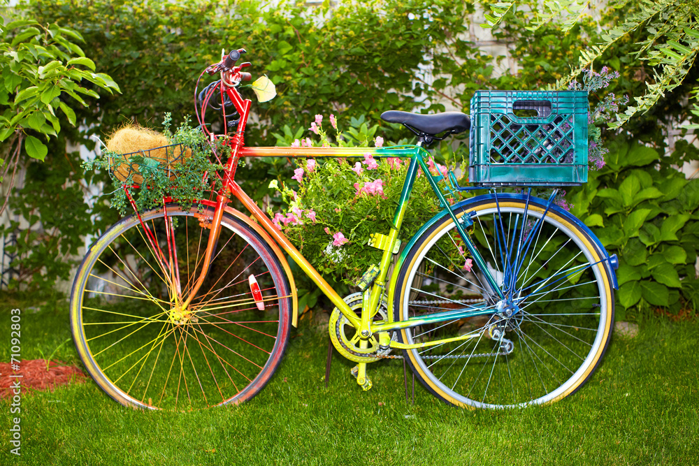 Multi Colored bicycle