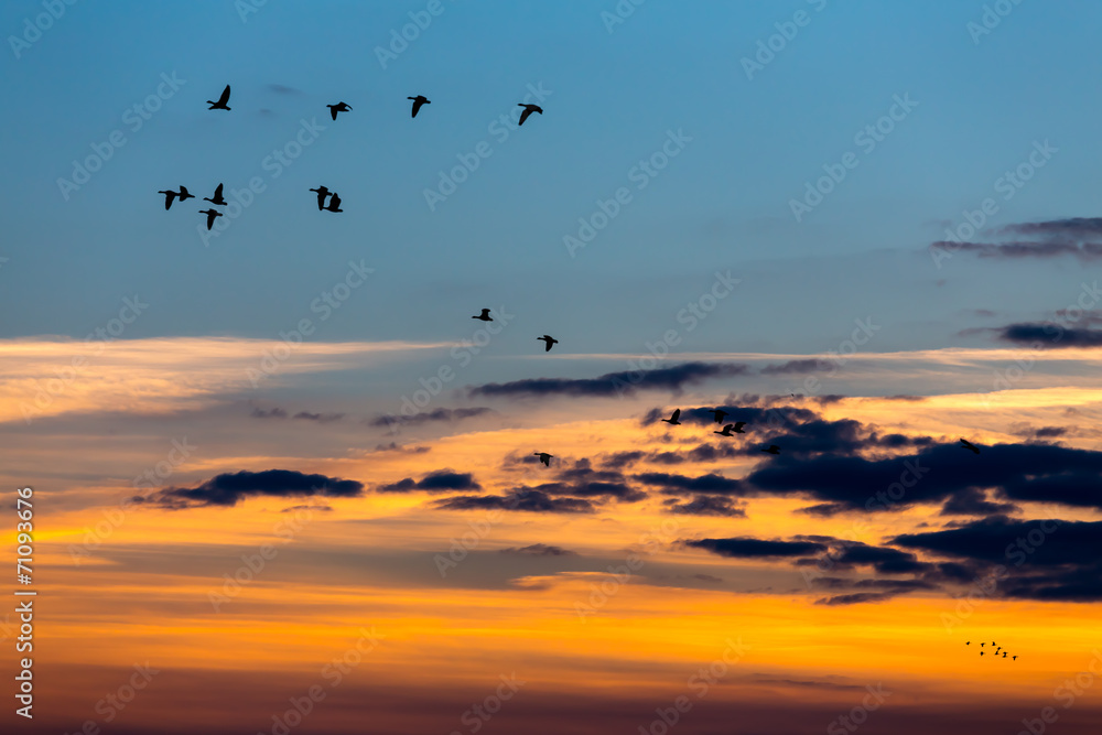 Flying over the sea