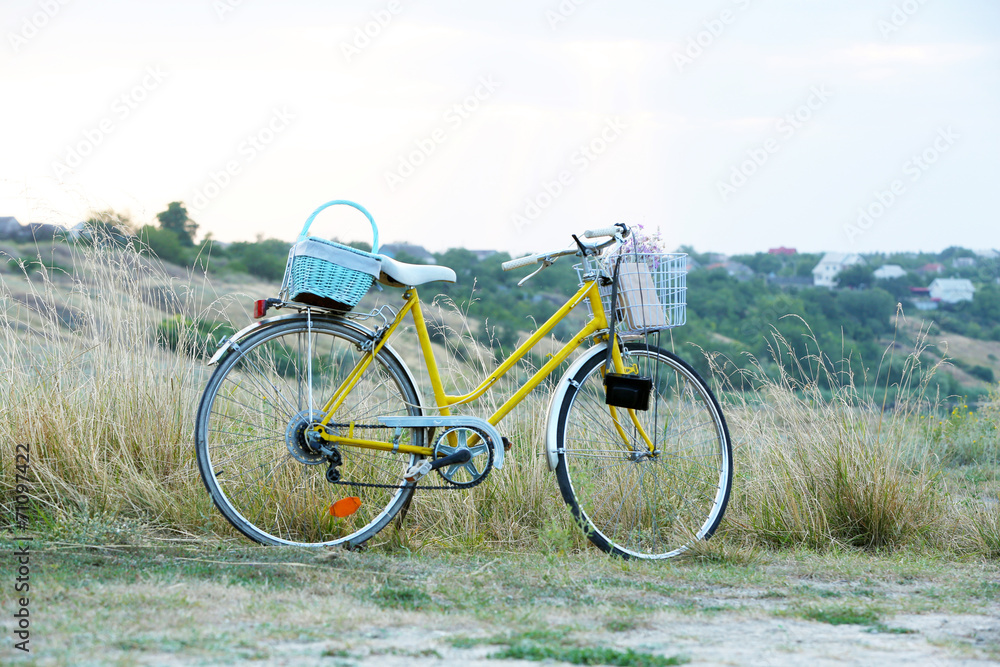 Obraz premium Bicycle in meadow during sunset