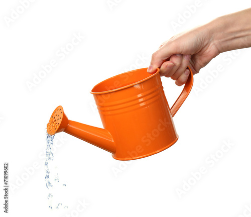 Fototapeta Naklejka Na Ścianę i Meble -  Water pouring from watering can isolated on white