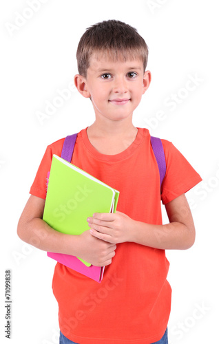 Little schoolboy isolated o...