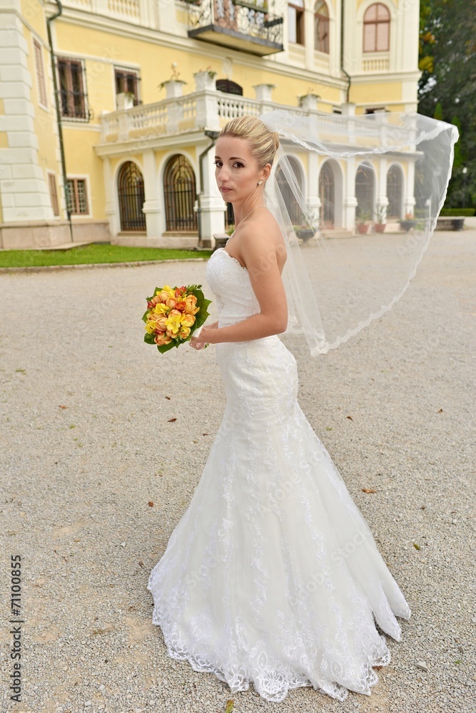 Obraz premium bride