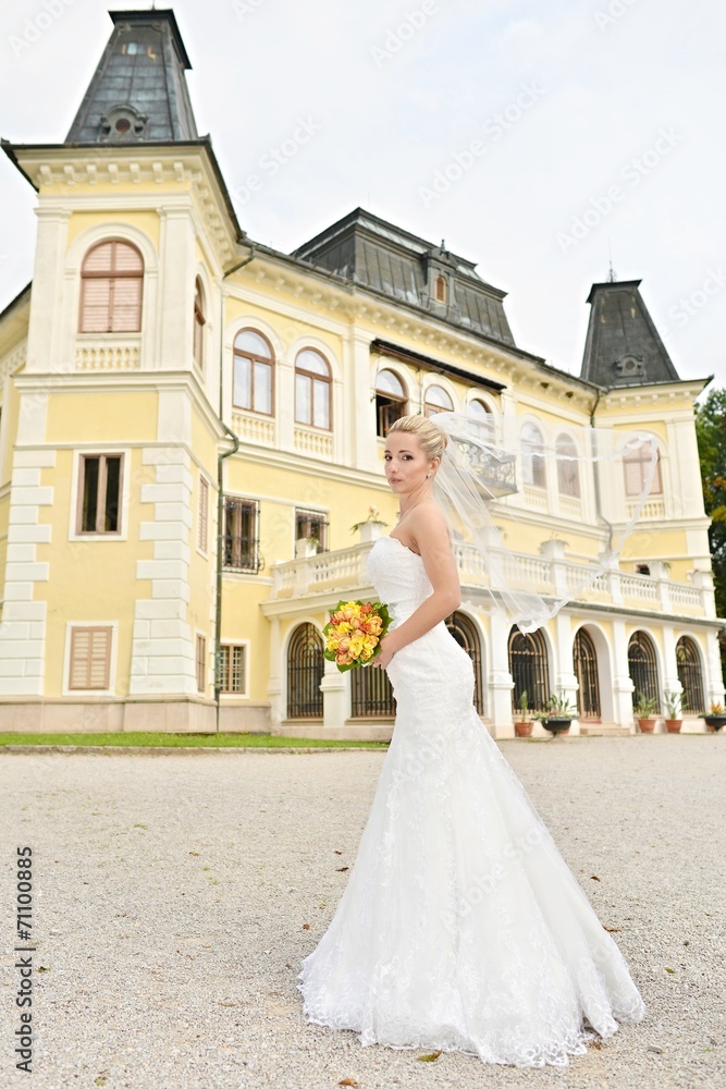 bride bride
