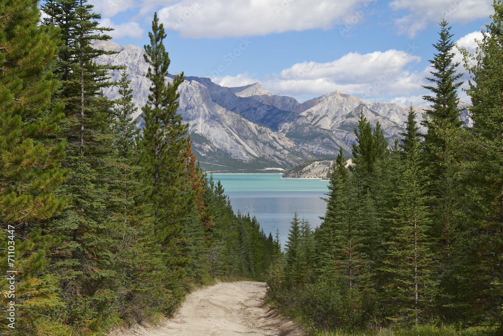 Trail Leading to a Mountain Lake - Alberta, Canada