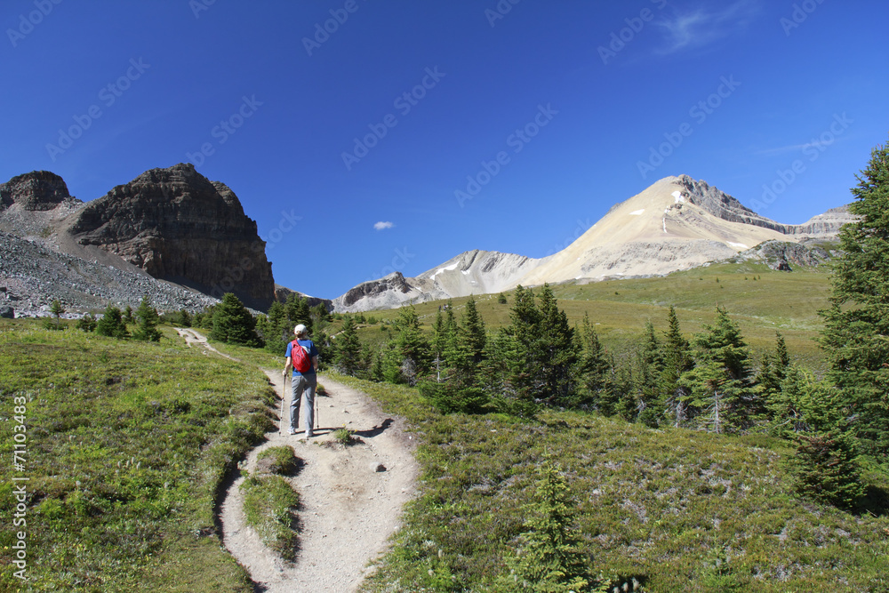 Hiking on an Alpine Trail - Jasper National Park, Canada