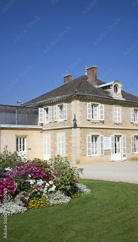 Fototapeta premium chateau meursault