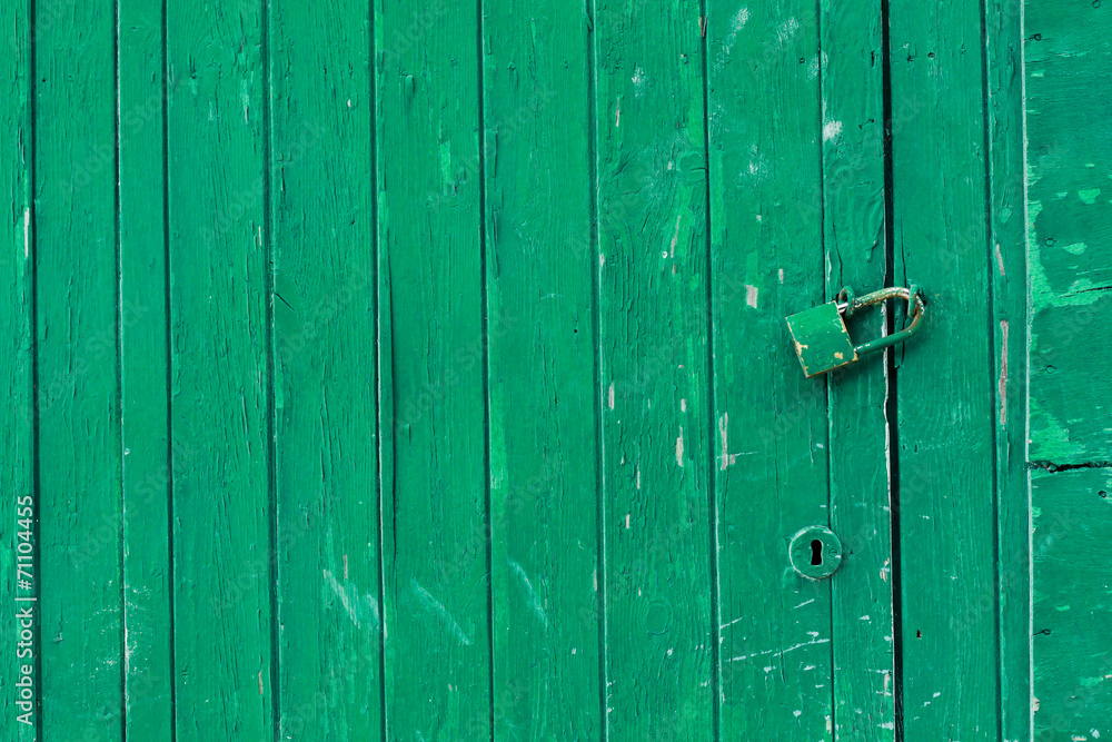 Porta in legno verde