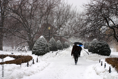 Boston Winter..