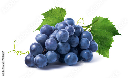 Fotografiet Blue grapes dry bunch isolated on white background