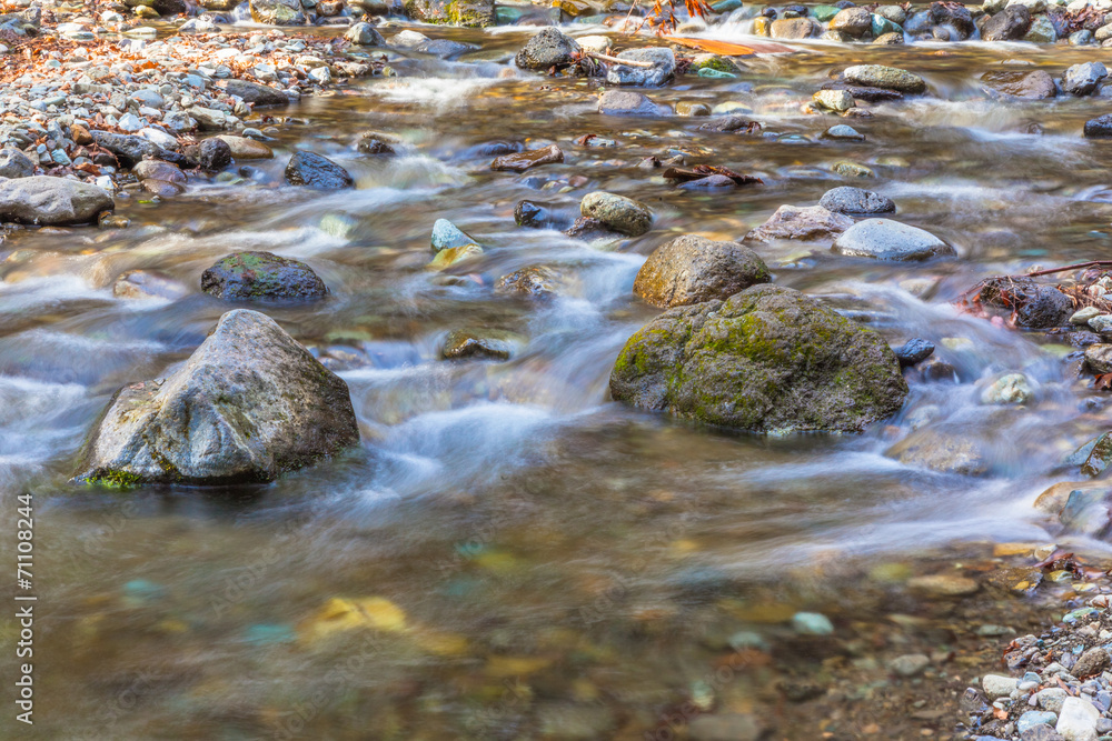 The flow of the brook The flow of the brook