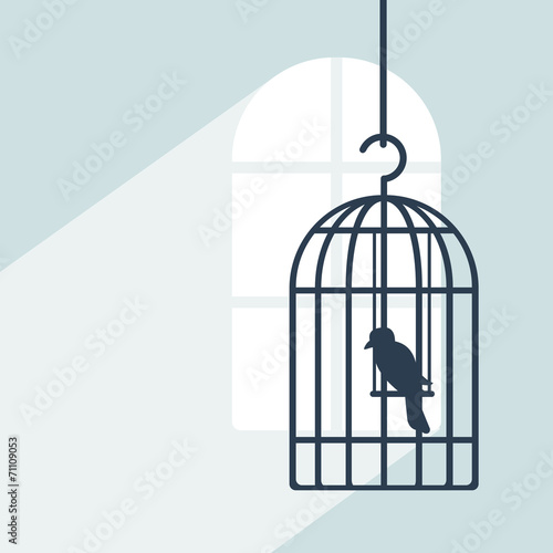 Bird in cage in room