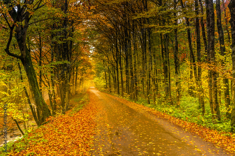 Autumn landscape Autumn landscape