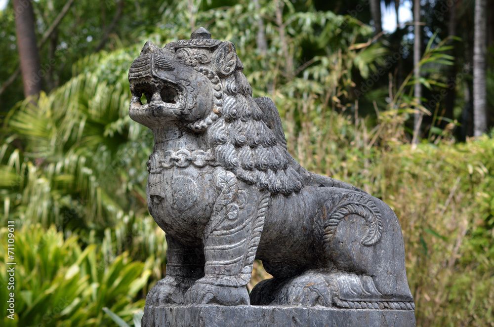 Nepali lion