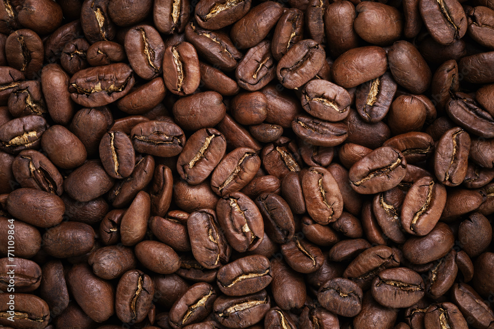 Naklejka premium big arabica coffee beans background