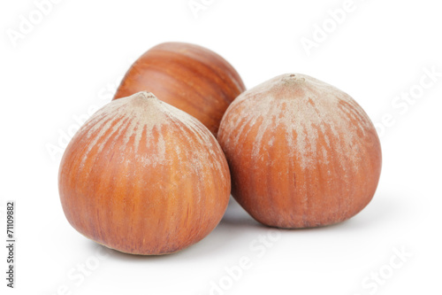 three whole hazelnuts