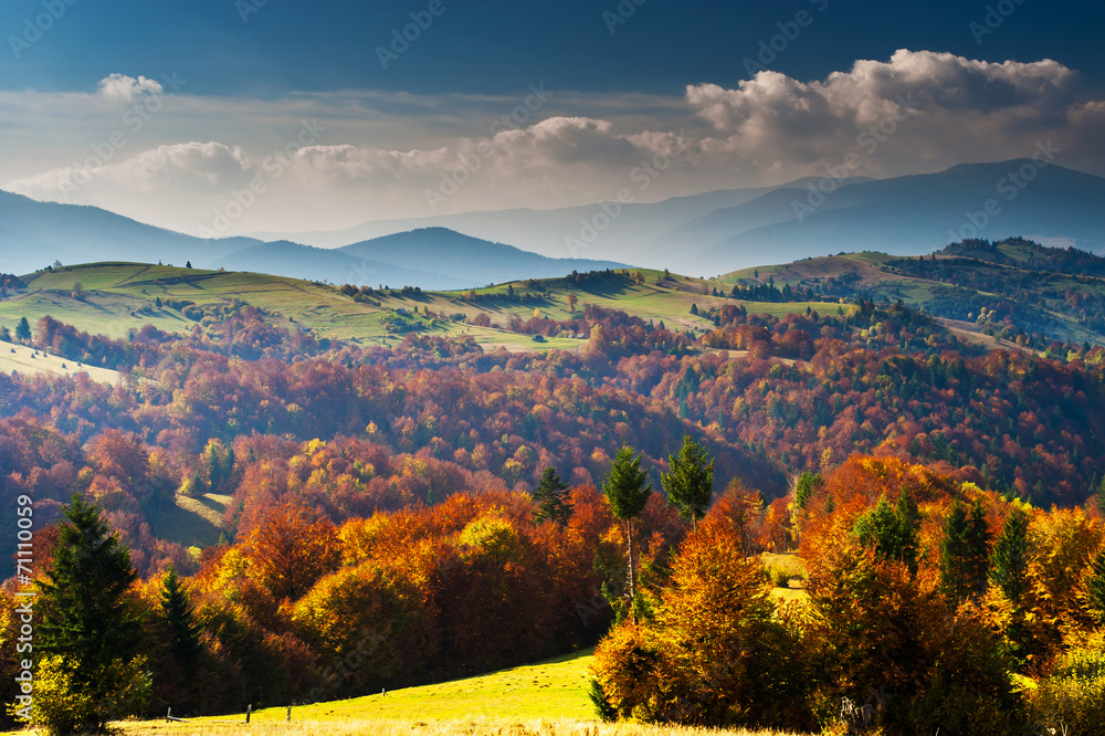 Obraz premium Autumn landscape