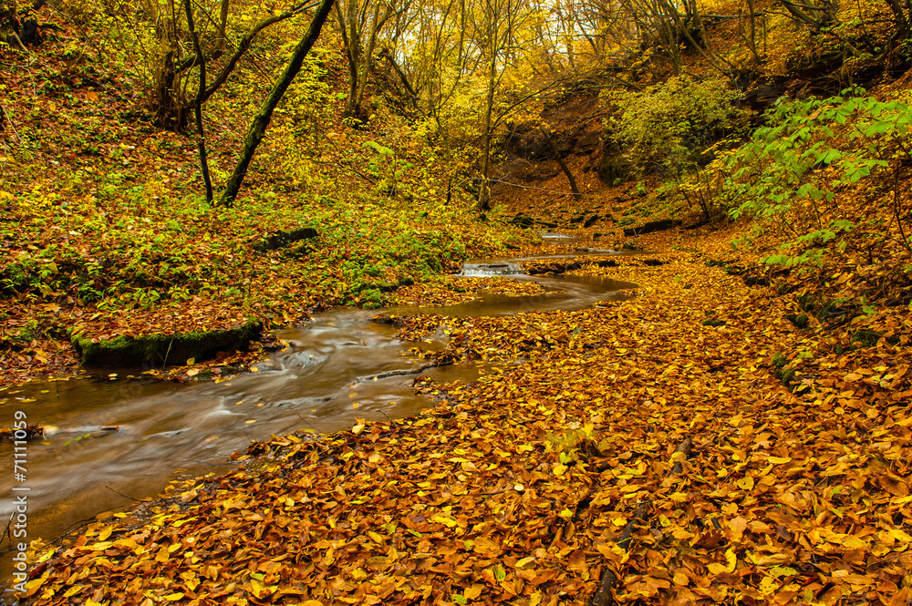 Fototapeta premium landscape