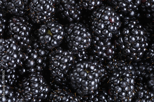ripe organic blackberries close up