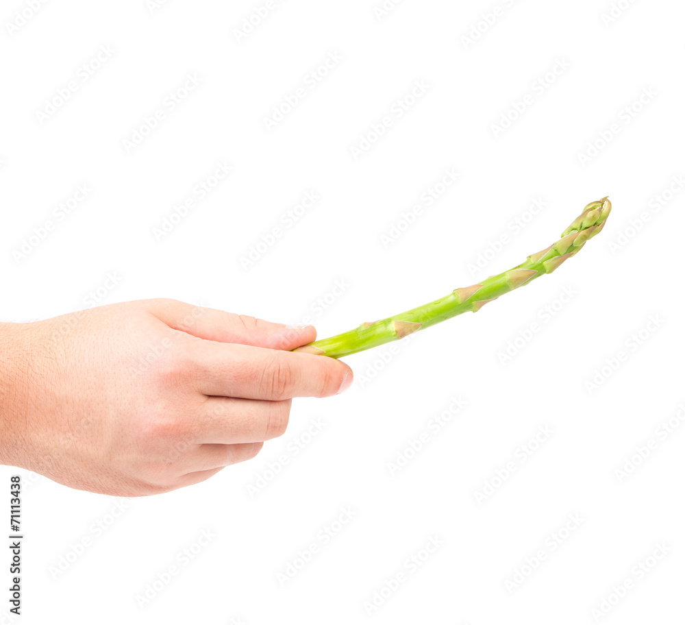 Hand holding fresh asparagus. Hand holding fresh asparagus.