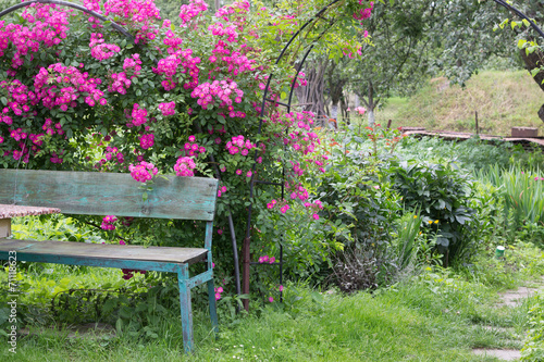 bench in garden