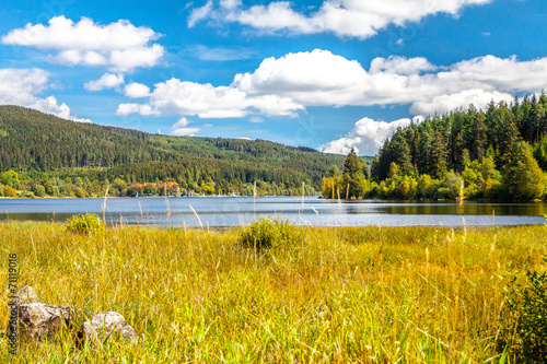 Schluchsee im Sommer