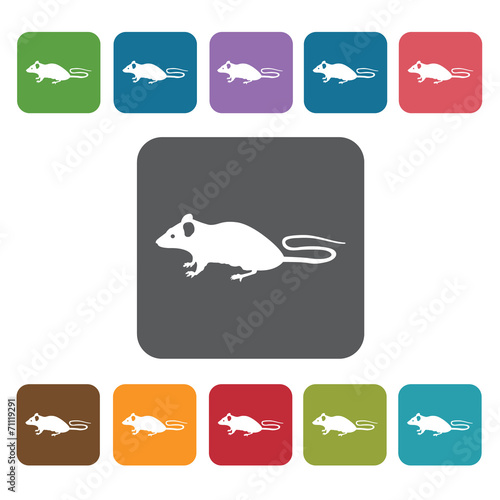 Year Of The Rat Icon. Zodiac Symbol Sign Icons Set. Rectangle Co