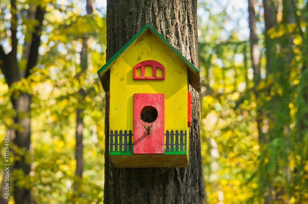 funny colorful birdhouse in the autumn garden