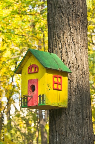 funny colorful birdhouse in the autumn garden