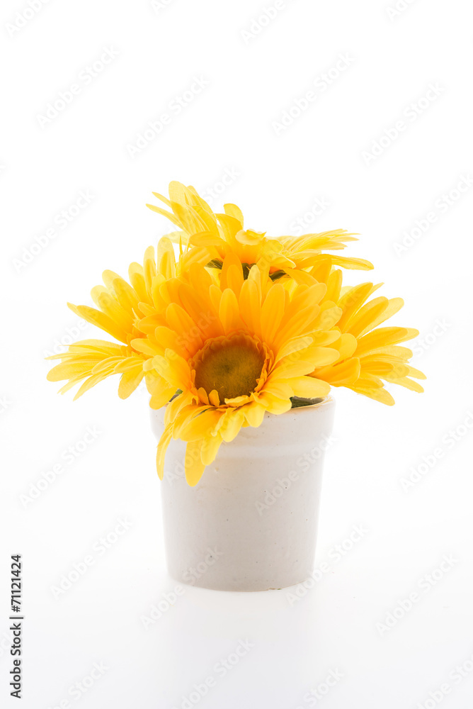 Vase flower isolated on white background Vase flower isolated on white background