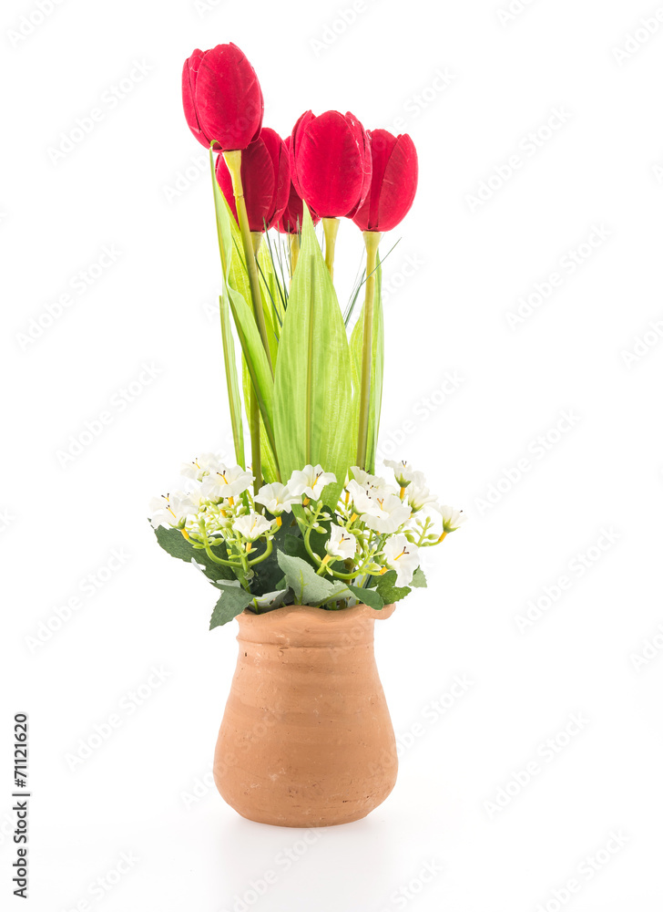 Vase flower isolated on white background