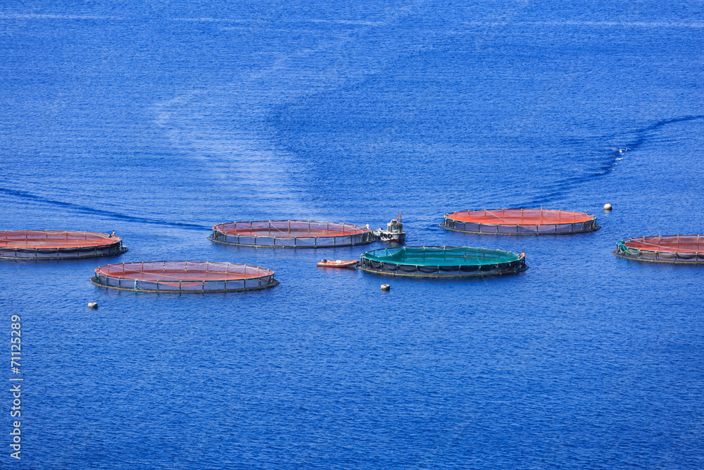 Obraz premium Boat @ fish farm