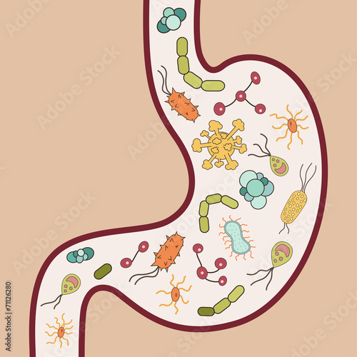 Human stomach with viruses and bacteria