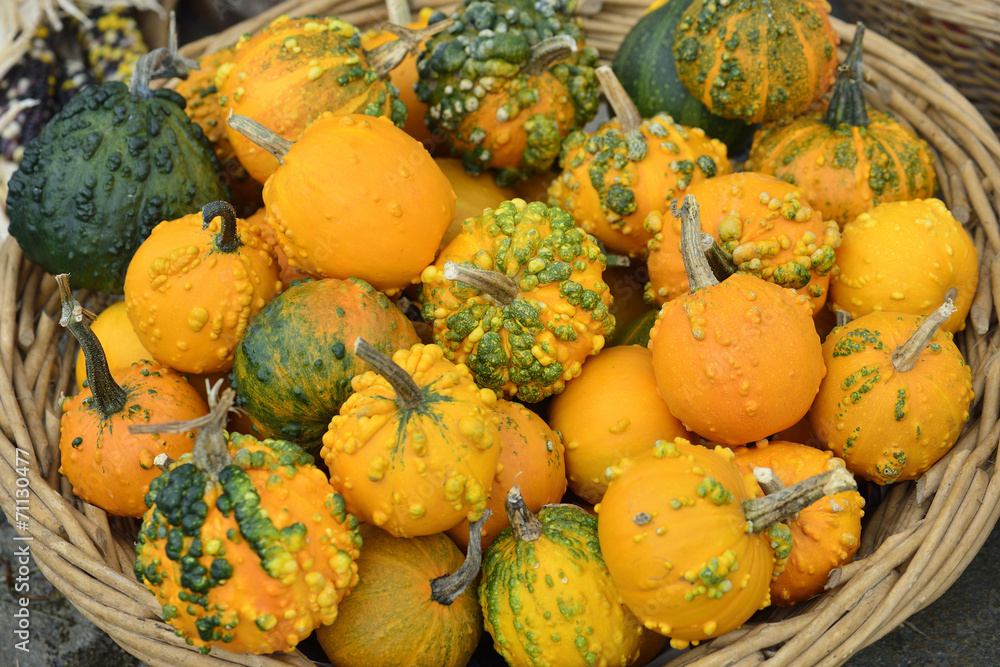 pumpkins basket, halloween and autumn season