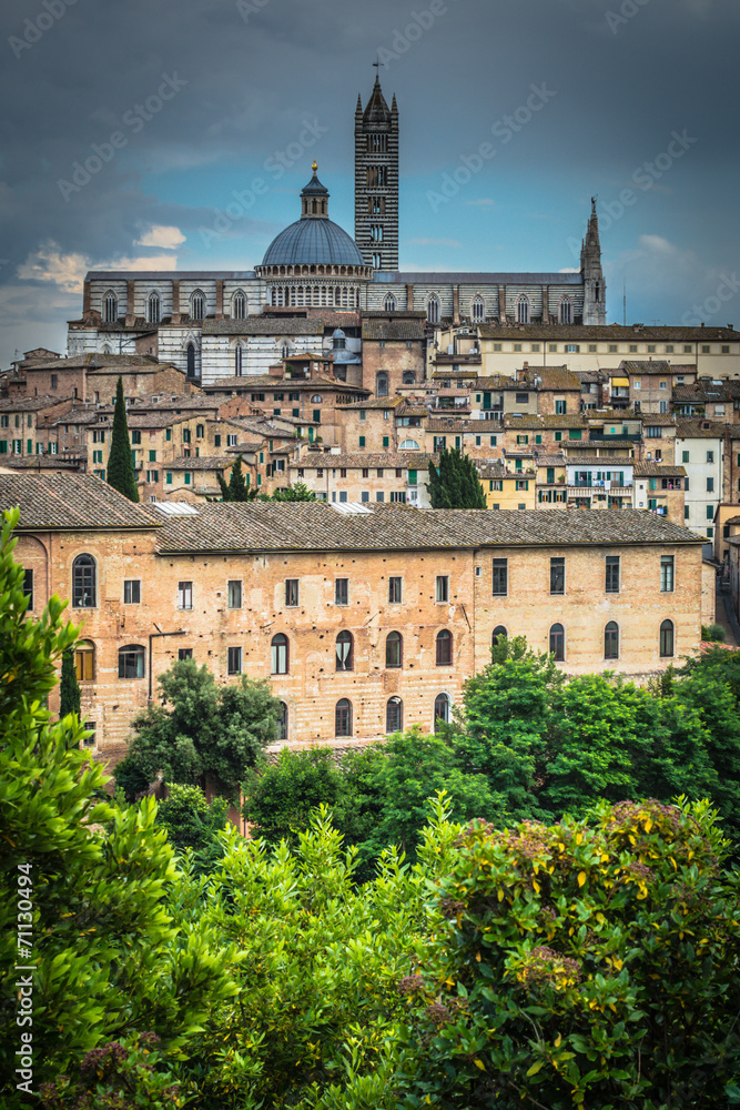 Blick auf Duomo Santa Maria Siena Toskana Italien