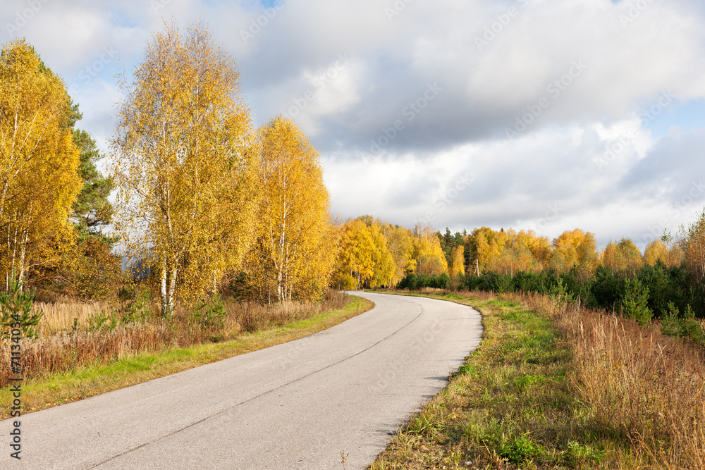 Road in the autumn forest