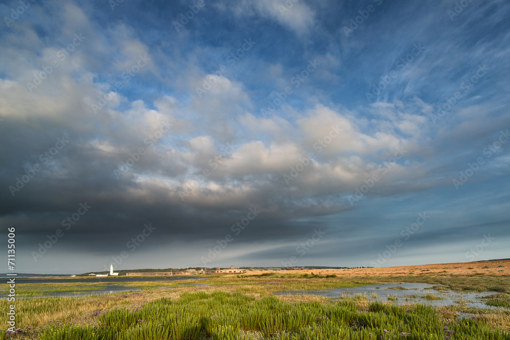 Fototapeta premium Landscape image large sky with lighthouse in distance