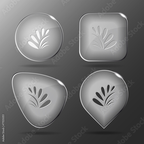 Plant. Glass buttons. Vector illustration.