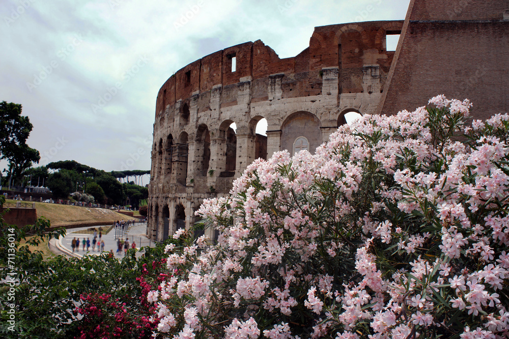 Obraz premium Colosseum in Rome