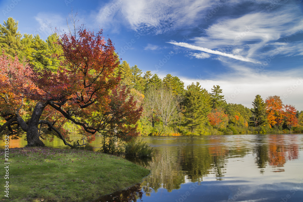 Autumn River