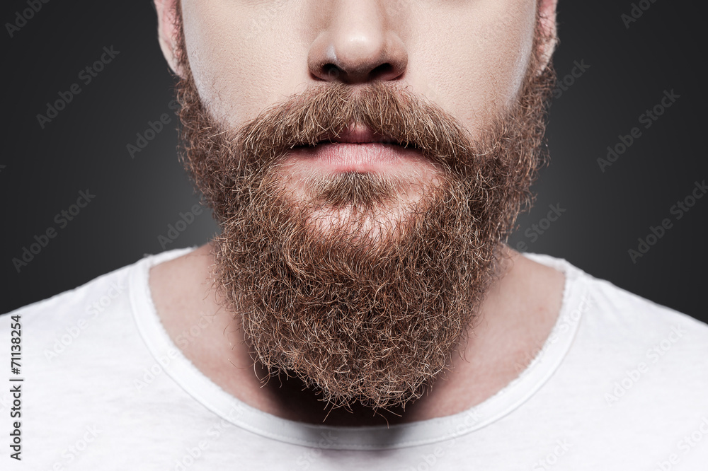 Obraz premium Perfect beard.
