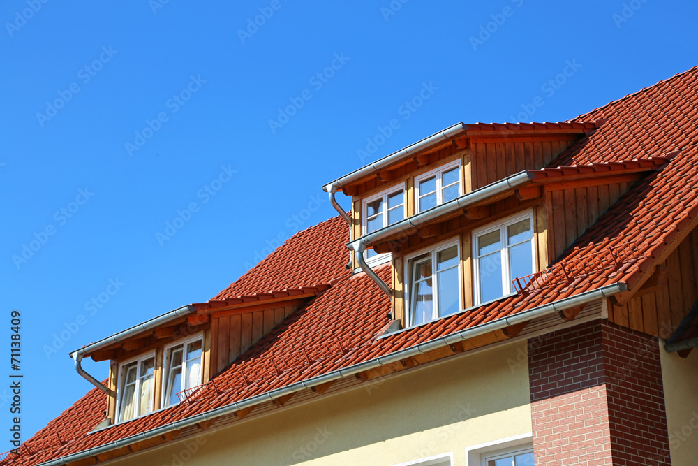 Drei Schleppgauben mit Doppelfenstern Drei Schleppgauben mit Doppelfenstern