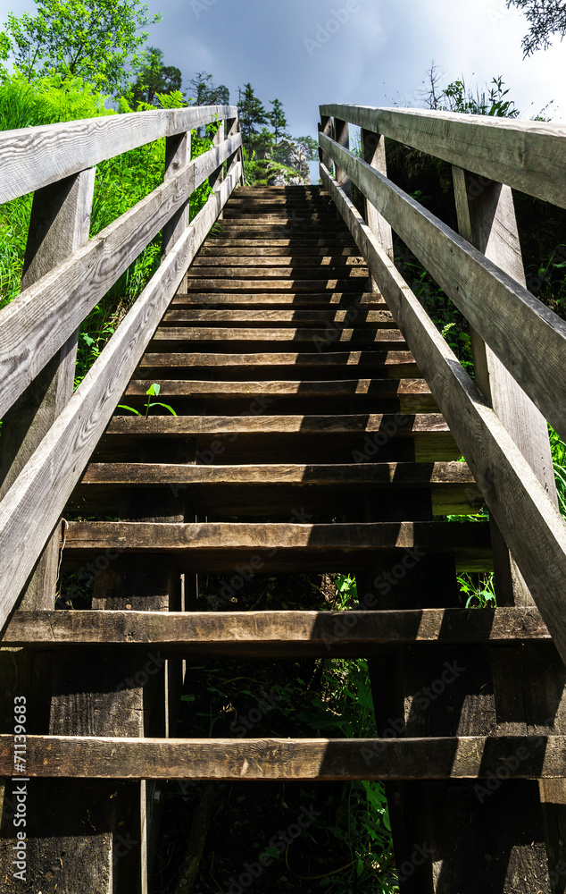 Natural wooden stairway to heaven