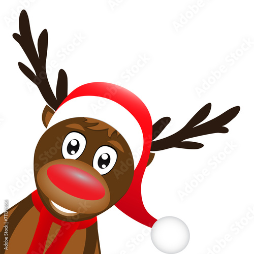 christmas reindeer on a white background