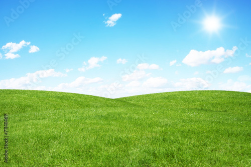 Green field and blue sky © sdecoret